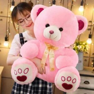 Super Cute Plush Pink Teddy Bear